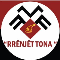 AKADEMIA RRENJET TONA Sheshi Willson Shqiperia